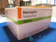 HER-2����С����������Ҫ���ܺ���͡(herceptin)������