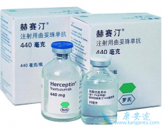 ���ٰ�ע��ҩ�����鵥��/����͡���ö�����ʺϣ�