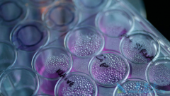 �ذ�TRK���Ƽ�Vitrakvi��Larotrectinib�����FDA��׼����