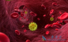 �ܰ������߶Է���ŵ���������ܸ���ε�����ҩ������