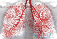 ��������(alectinibum)����Ч�ڳ��������ڼ��Ƿ���Գ�����