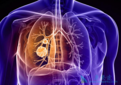 ��Щ��Сϸ���ΰ������ǰ�������Ľ�����Ⱥ��