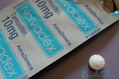 ��Ī����(tamoxifen)�����ڼ�����Щ��ʳ���ɣ�