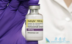 Kadcyla��T-DM1������ΪHER2�������ٰ������͸����Ʒ�