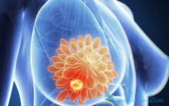 ��άĪ˾�����ڼ�ת�������ٰ��о������û���