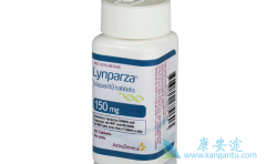 �׸�PARP���Ƽ�����������Olaparib��Ŀǰ�Ѿ��ڹ�������