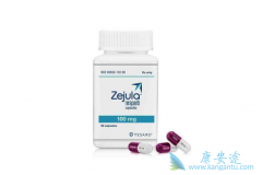 PARP���Ƽ�����������Zejula������ʱ�İ�ȫ����ô����