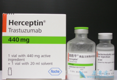 HER2����θ�����ߵ���ѡ�Ʒ��Ǻ���͡����˫ҩ����