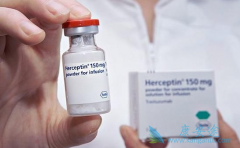 ��HER2�������ٰ����߽��о�׼�ֲ�������ں���͡����
