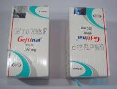 ��������(Gefinat)�����ʺ�������ʷ�ķ��۰����Ի���