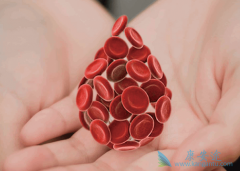 ������ֲ�Ǽ��԰�Ѫ�����Ƶ���ȫ֮����