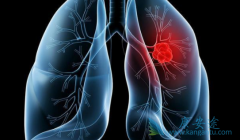 ��������ʹ���ڷΰ���Ԥ�����ǰ�Ĳ���һ���������������