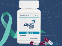 ��������(Zejula)��ҩ�ڼ����һ������ȷ�Ĵ�����ʽ��ʲô��