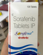 ��������(Soranix)ͬʱ���û���������Ӧ���ڽ���������