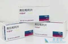 PARP���Ƽ�������������PD-L1����Durvalumab�������ٰ���Ч����ô����