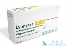 ���й����Թ��������ҩ��everest��������PAPR���Ƽ�����������