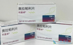 ����������PARP���Ƽ��Ƿ����ѳ�����������ѡҩ�