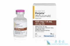 HER2+�������ٰ������ذ���ҩ�����鵥������й�ҩ�����׼����