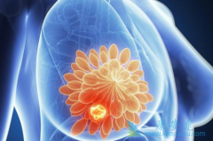 ���ٰ��ڷ������ƻ��ø�������ǰ�������