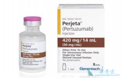 �����鵥���������鵥�����ϻ�������ĿǰHER2�������ٰ�������ѡ