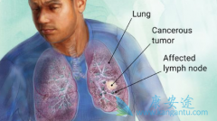 �����������Եķ�Сϸ���ΰ����߿���ʹ����Щ�����Ʒ���