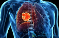 �޷�����٤�������Ʒΰ��ɸ��ö�������Ȱ���ҩ����