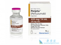 �����鵥�����������鵥��˫����HER2���Ƶ�Ч����ô����