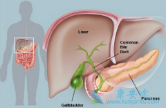 ���ڵ��ܰ�����ʹ��infigratinib���Ƶ�Ч����ô����
