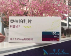 SOLO-1�ٴ����������ƽ�PARP���Ƽ��������������ѳ���ά������