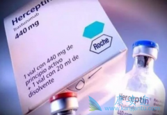 �����鵥���������鵥����HER2����θ��Ԥ���Ӱ��