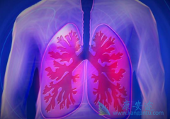 ������������EGFR���Ƽ����ӻ�����ҩ��ҩ