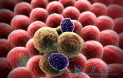 ������/������������˳���ĸ���������ͷ�����۰�Ч���ã�