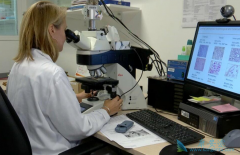 �ڻ��Ƽ�Ъ��ʹ�����������������ٰ�����Ч