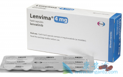 �ط�����������������ʺ��й����ڸΰ����ߵ�����