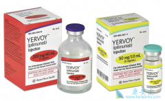 CTLA-4���������Ʒ����Ƹΰ����ߵ���Ч��ô����