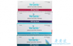 CDK4/6���Ƽ�Verzenio����AI�����������ٰ���Ч����ô����