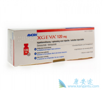 ���浥����ȫ���׸��������е�RANKL����¡����