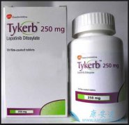 ��������(Lapatinib)���Ͽ��������������ٰ�����Ч�Լ���ȫ����Σ�