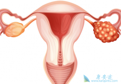 PARP���Ƽ������������ٴ�Ӧ�õľ�����