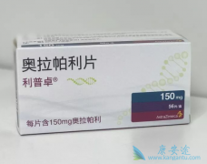 PARPi��������һ��ά�������ѳ������ߵ��ٴ�����Ч����ô����