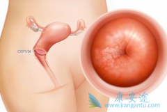 �����������ܻ��ã��������������ƹ�������ҩ����