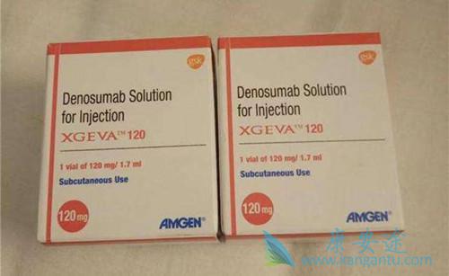 ��ŵ����