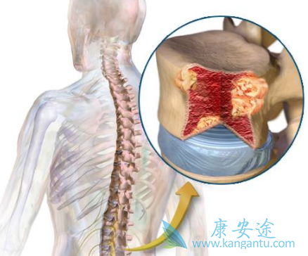 �������ܻ���