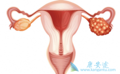 ��������(Apatinib)�����в������ÿɷ���Эͬ����