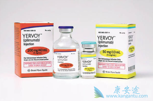 ������ķ��