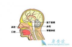 ���ʰ����Ʒ���������Щ�����к��ص㣿