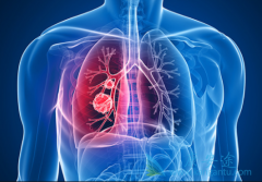 �������Ʋ����ʺ����е����ڷΰ�����