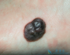 �����������������������ƺ�ɫ������Ч����Σ�