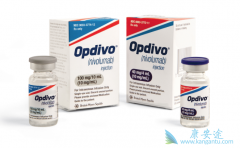 PD-L1������ߵİ�֢���߿���һ��ʹ����������ҩ����