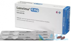 �ַ�����Ϊ��ѧ������Ч�ļ�״���������ṩ����ѡ��